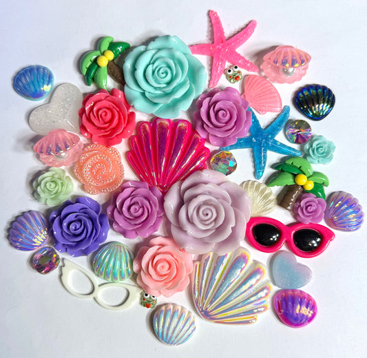 Beach seashells